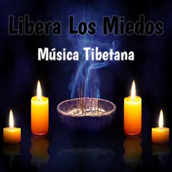 Libera Los Miedos