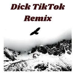 Dick TikTok Remix