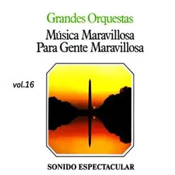 Música Maravillosa Para Gente Maravillosa, Vol. 16