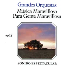 Música Maravillosa Para Gente Maravillosa, Vol. 2