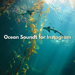 Ocean Sounds for Instagram