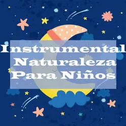 Instrumental Naturaleza Para Niños
