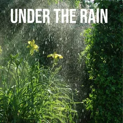 Under the rain