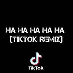 Ha Ha Ha Ha Ha - (TikTok Remix)