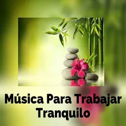 Música para Trabajar Tranquilo