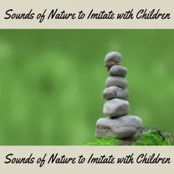 Sounds Of Nature To Imitate With Children