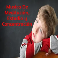 Musica De Meditación, Estudio y Concentración
