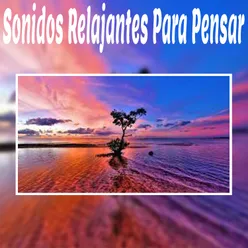 Sonidos Relajantes para Pensar