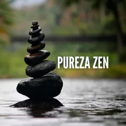 Pureza Zen