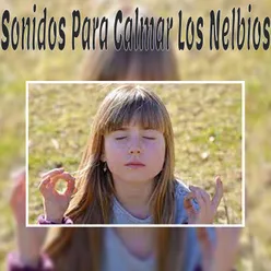 Sonidos Para Calmar Los Nelbios