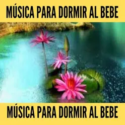 Música Para Dormir Al Bebe