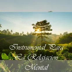 Instrumental Para La Relajación Mental