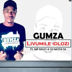 Livumile Idlozi