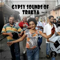 Gypsy Sounds Of Trakya, Vol. 2