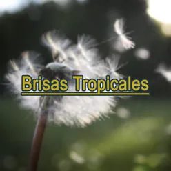 Brisas Tropicales