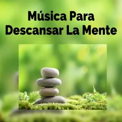 Música Asiática Relax