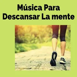 Música de Relajación de Serenidad y Serenidad