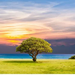 Naturaleza para Relajarse