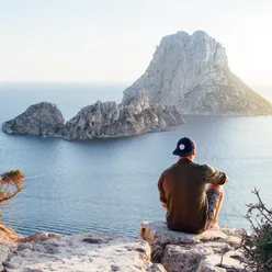 Paisaje Con Pájaros