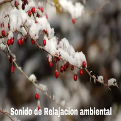 Sonido de Relajacion Ambiental