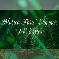 Musica Para Eliminar El Estres