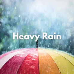 Heavy Rain