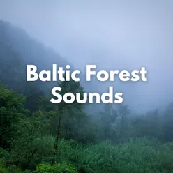 Baltic Forest Sounds