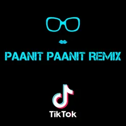 Paanit Paanit Remix