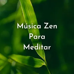 Música Zen para Meditar