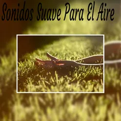 Sonidos Suave para el Aire