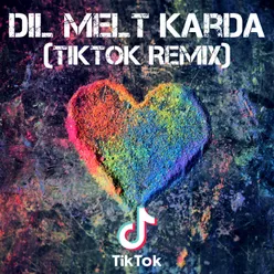 Dil Melt Karda (TikTok Remix)