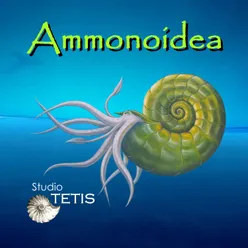 Ammonoidea