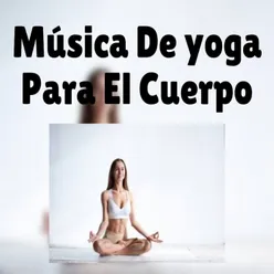 Meditación Consciente