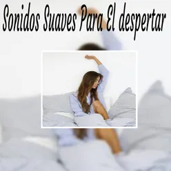 Música Asiática Relax