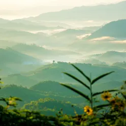 Respira Fácil