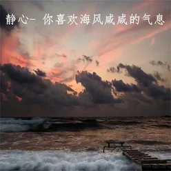 你喜欢海风咸咸的气息