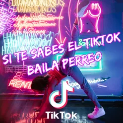 Si Te Sabes El TikTok Baila Perreo