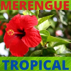 Merengue Tropical