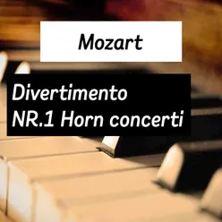 Concerto For Horn And Orchestra n3 e flat major kv 447 Allegro 2