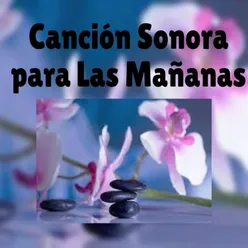 Canción Sonora Para Las Mañanas