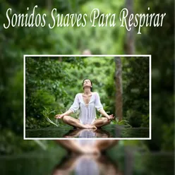 Meditación Budista