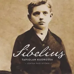 Sibelius Tapiolan Kuorossa