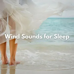 Wind Sounds for Sleep