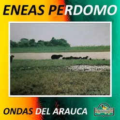 Ondas del Arauca