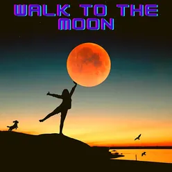 Walk to the Moon