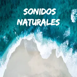 Sonidos naturales