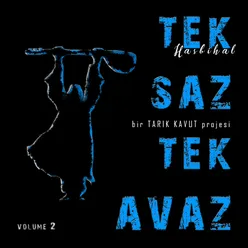 Tek Saz Tek Avaz, Vol. 2 Hasbihal