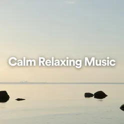 Calm Relaxing Music