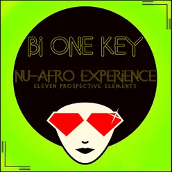 Nu-Afro Experience Eleven Prospective Elements