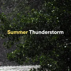 Summer Thunderstorm